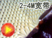 長強(qiáng)鋼廠自來水廠出水水質(zhì)